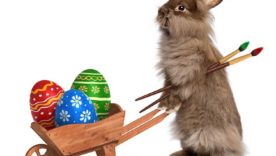 Ostern 2017 – Geschenkideen – aktuelle Tipps und alt Bewährtes